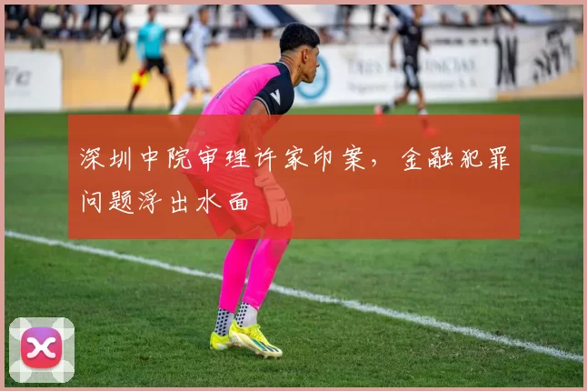 深圳中院审理许家印案，金融犯罪问题浮出水面