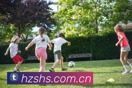 多媒体互动体验